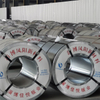 Steel Factory Competitive Prepainted Steel Coil