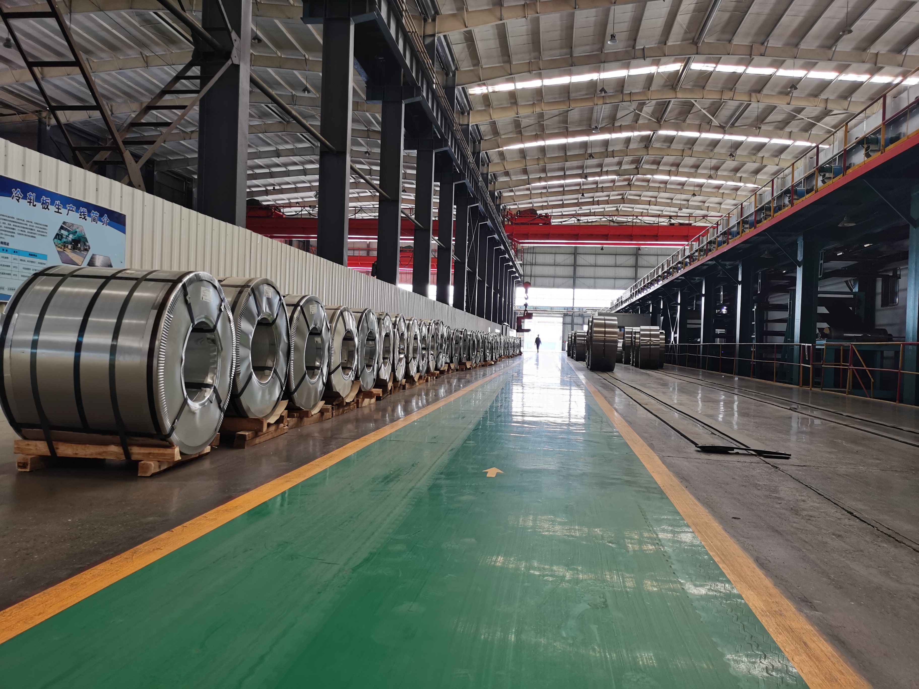 Galvanized Steel Coil