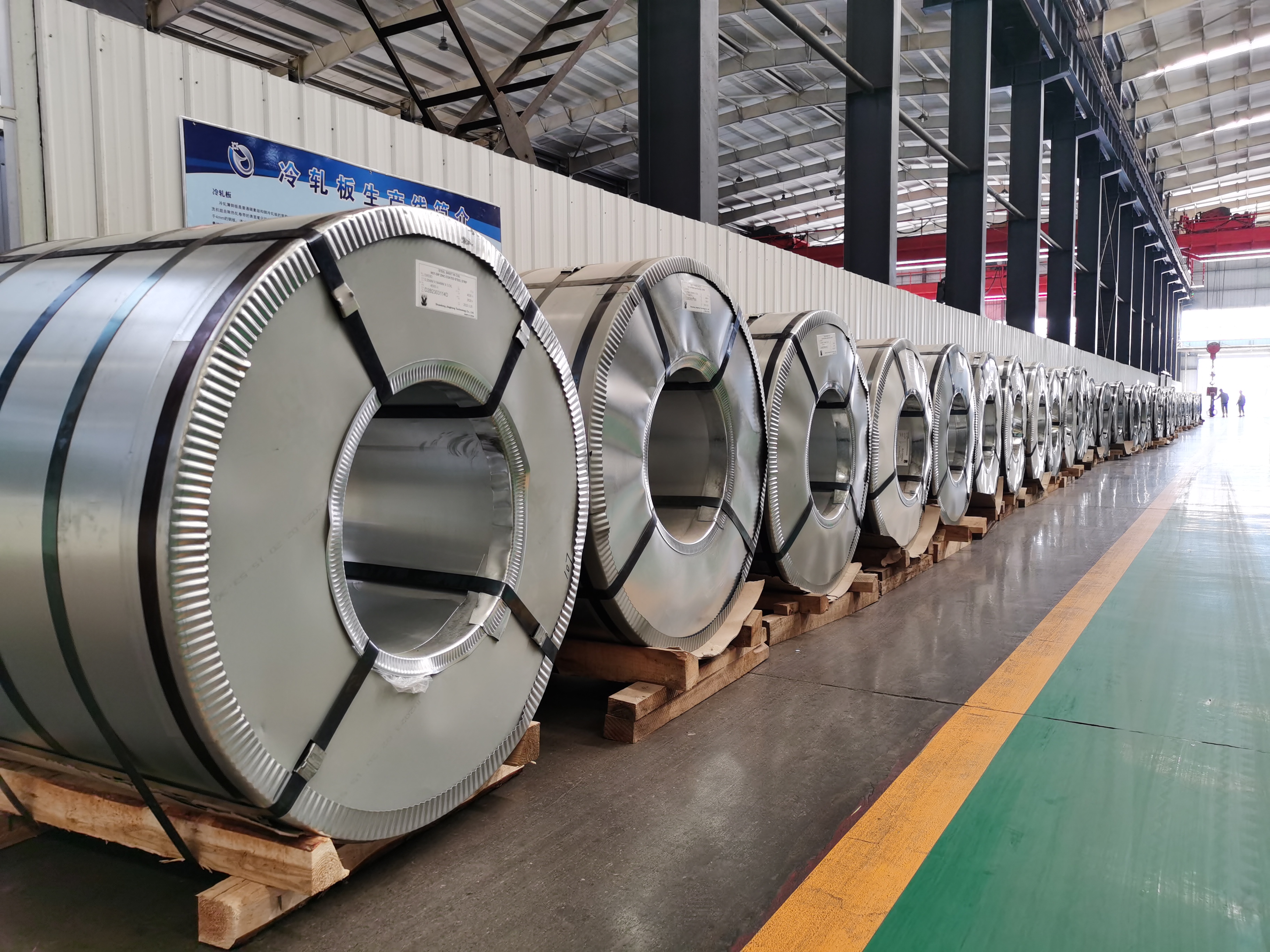 Galvanized Steel Coil