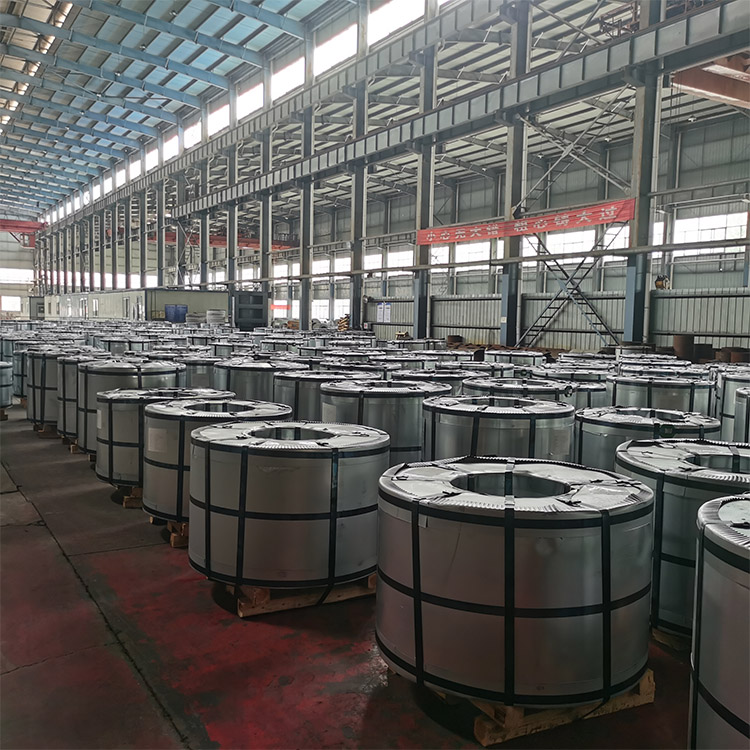 Steel Factory Competitive Prepainted Steel Coil